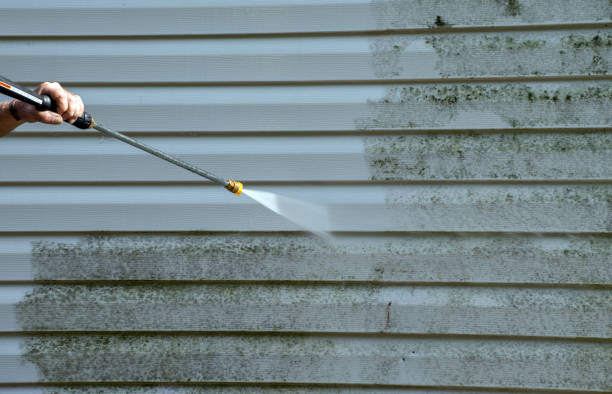 Best Toxic Mold Removal  in Oakland, IA