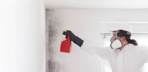 Best Residential Mold Removal  in Oakland, IA